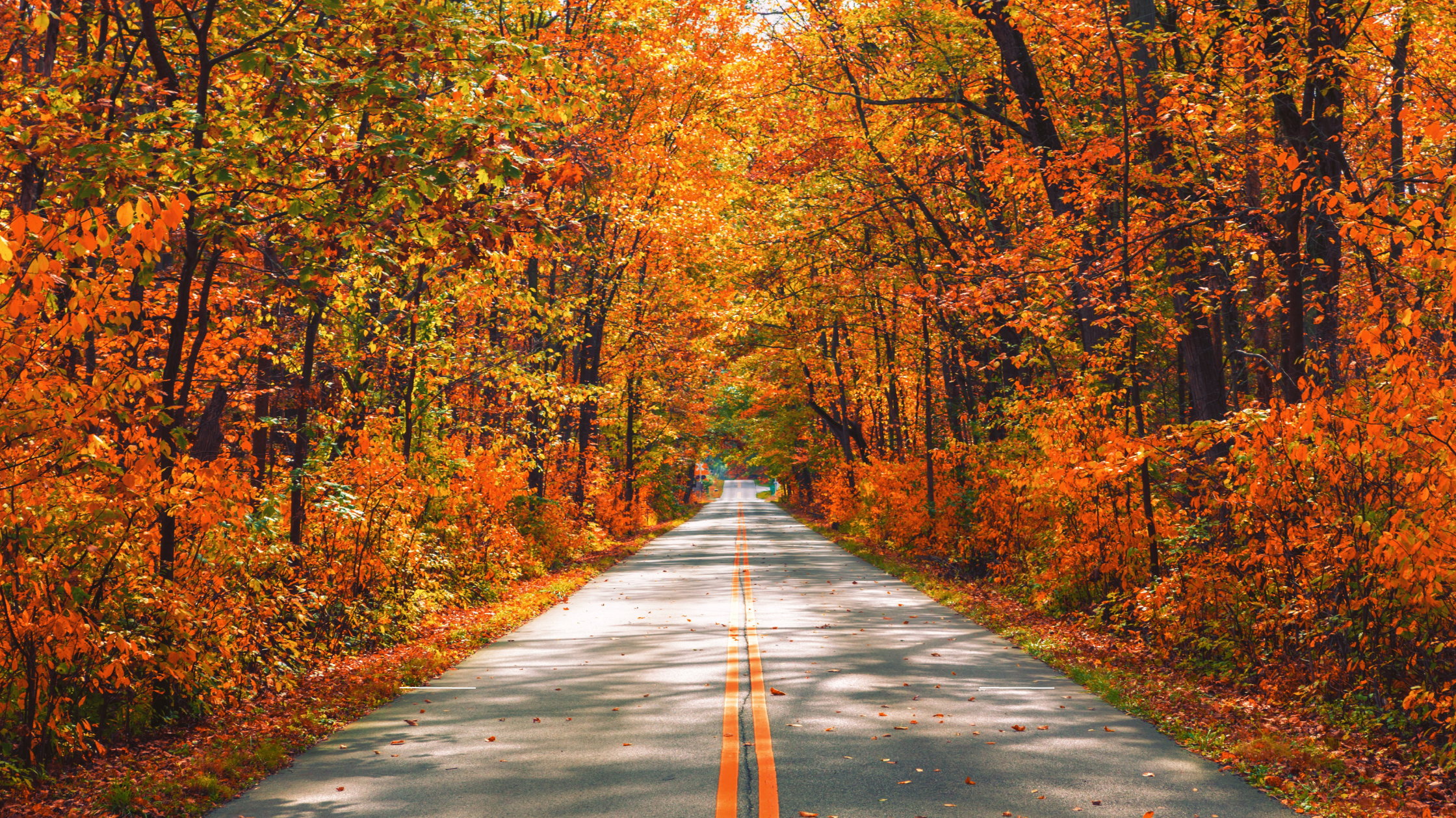 Door County Fall Color Tour: A 2-Night Itinerary