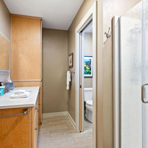 Full bathroom in the Master Suite with private water closet.