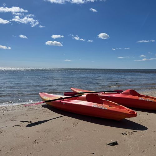 When the water is calm, enjoy a relaxing paddle over to Cave Point County Park.