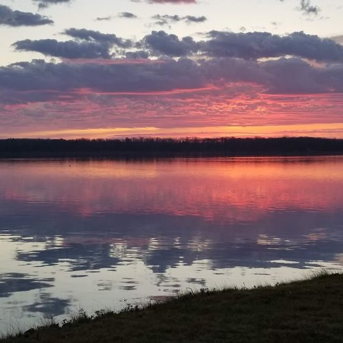 Kangaroo Lake Magic!