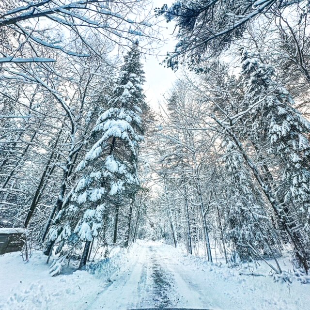 Romantic winter drive in Door County 