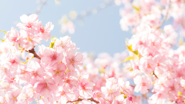 7 Enchanting Reasons To Spring Into Door County